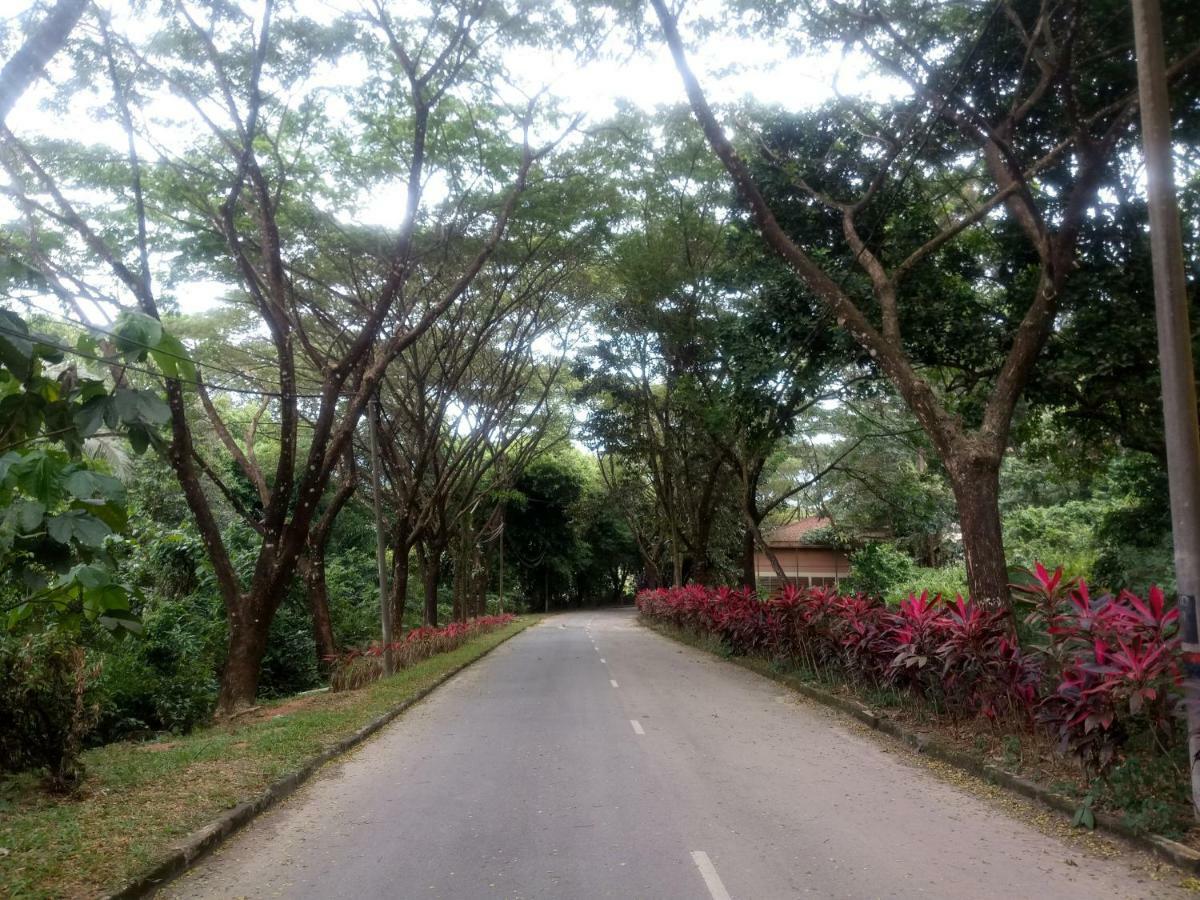 Janaview Taiping Hotel Luaran gambar
